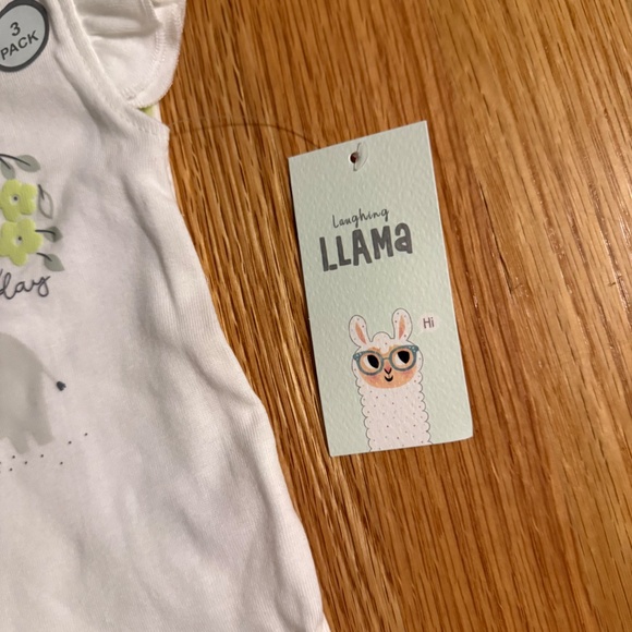 Laughing Llama Baby Girl Set Of 3 Coordinating Onesies - Picture 5 of 10